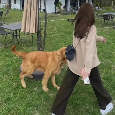 哈利波特：混血王子的背叛
